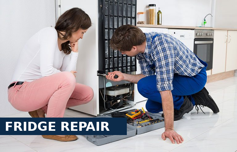 Fridge Repair Barnehurst
